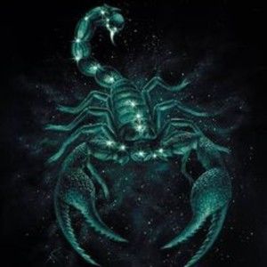 Meet your Posher, Posh